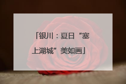 银川：夏日“塞上湖城”美如画