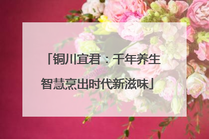 铜川宜君：千年养生智慧烹出时代新滋味