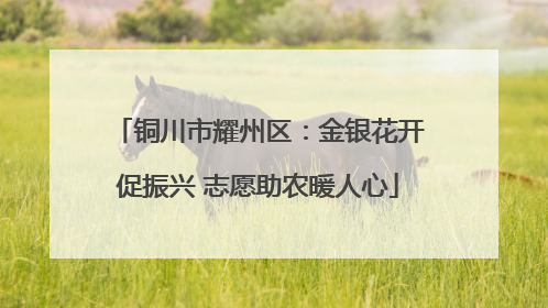 铜川市耀州区：金银花开促振兴 志愿助农暖人心