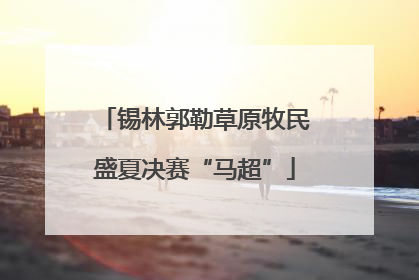 锡林郭勒草原牧民盛夏决赛“马超”
