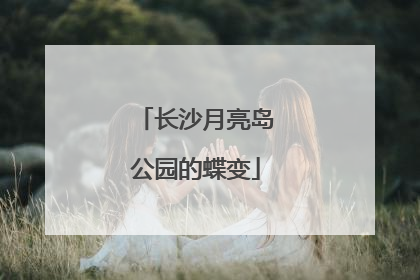 长沙月亮岛公园的蝶变