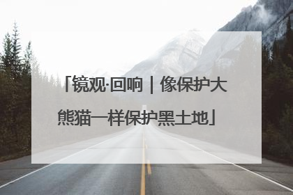 镜观·回响｜像保护大熊猫一样保护黑土地