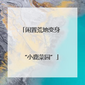 闲置荒地变身“小鹿菜园”
