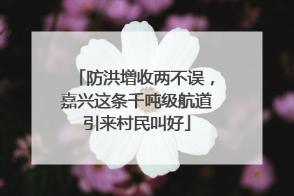 防洪增收两不误，嘉兴这条千吨级航道引来村民叫好