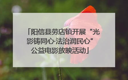阳信县劳店镇开展“光影铸同心·法治润民心”公益电影放映活动