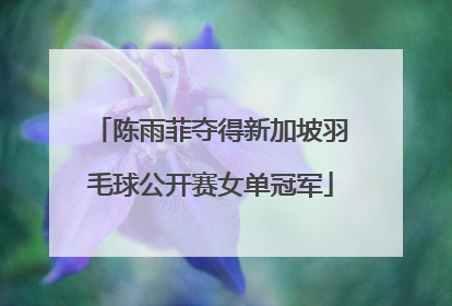陈雨菲夺得新加坡羽毛球公开赛女单冠军