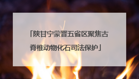 陕甘宁蒙晋五省区聚焦古脊椎动物化石司法保护