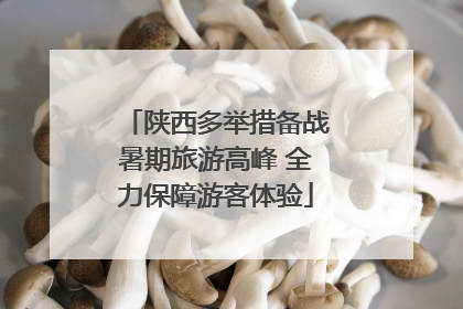 陕西多举措备战暑期旅游高峰 全力保障游客体验