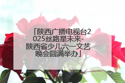 陕西广播电视台2025丝路星未来-陕西省少儿六一文艺晚会圆满举办
