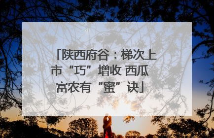 陕西府谷：梯次上市“巧”增收 西瓜富农有“蜜”诀