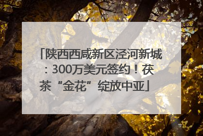 陕西西咸新区泾河新城：300万美元签约！茯茶“金花”绽放中亚