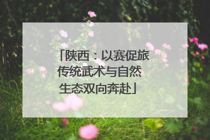陕西：以赛促旅 传统武术与自然生态双向奔赴