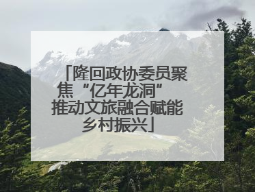 隆回政协委员聚焦“亿年龙洞” 推动文旅融合赋能乡村振兴