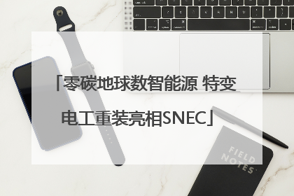 零碳地球数智能源 特变电工重装亮相SNEC