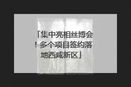 集中亮相丝博会！多个项目签约落地西咸新区
