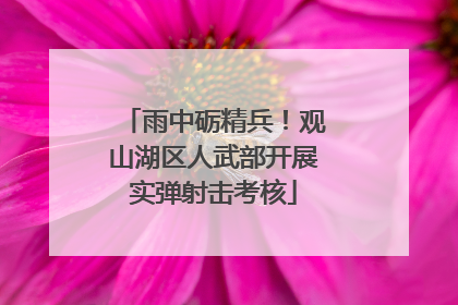 雨中砺精兵！观山湖区人武部开展实弹射击考核