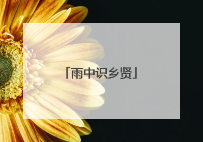 雨中识乡贤