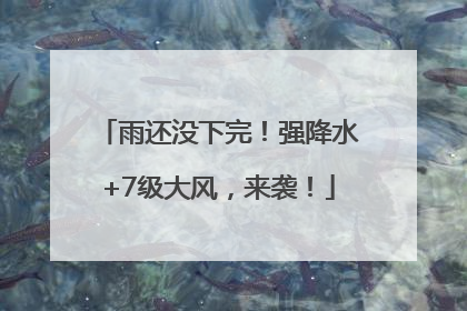 雨还没下完！强降水+7级大风，来袭！