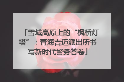 雪域高原上的“枫桥灯塔”：青海吉迈派出所书写新时代警务答卷