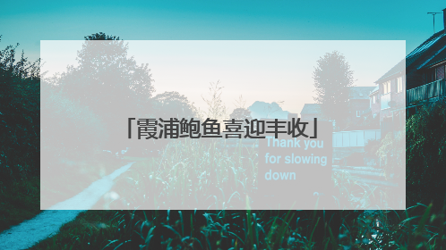 霞浦鲍鱼喜迎丰收