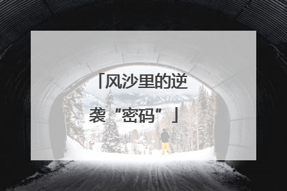 风沙里的逆袭“密码”