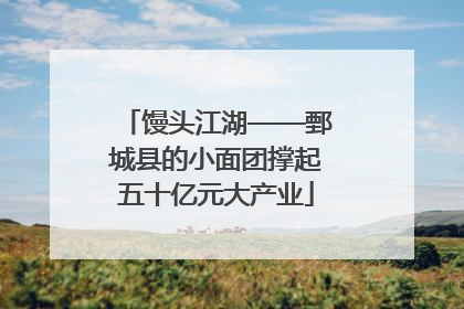 馒头江湖——鄄城县的小面团撑起五十亿元大产业