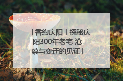 香约庆阳丨探秘庆阳300年老宅 沧桑与变迁的见证