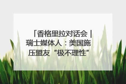 香格里拉对话会｜瑞士媒体人：美国施压盟友“极不理性” 欧洲国家无意与中国“脱钩断链”