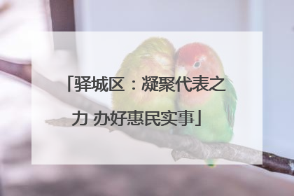 驿城区：凝聚代表之力 办好惠民实事