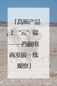 高原产品上“云”端——西藏电商发展一线观察
