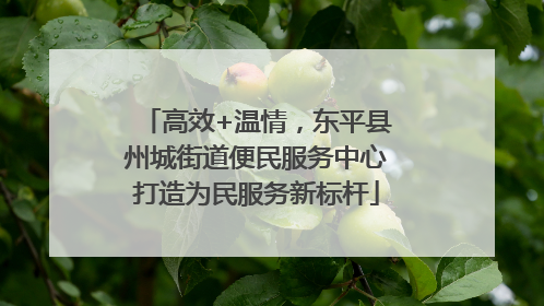 高效+温情，东平县州城街道便民服务中心打造为民服务新标杆