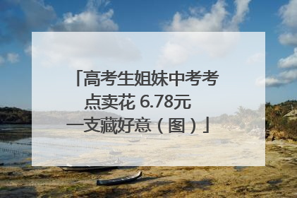 高考生姐妹中考考点卖花 6.78元一支藏好意（图）