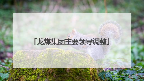 龙煤集团主要领导调整