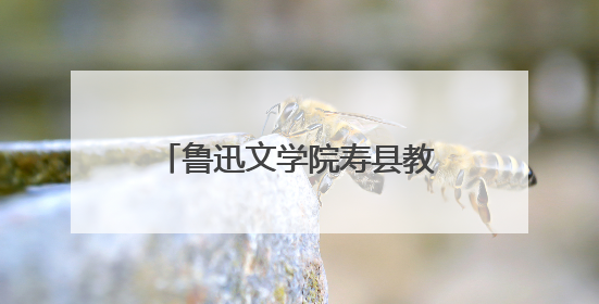 鲁迅文学院寿县教学实践点正式揭牌