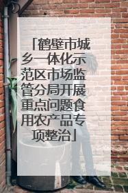 鹤壁市城乡一体化示范区市场监管分局开展重点问题食用农产品专项整治