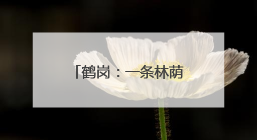 鹤岗：一条林荫大道融合“自然风光＋欧陆风情”成热门打卡地