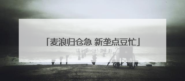 麦浪归仓急 新垄点豆忙