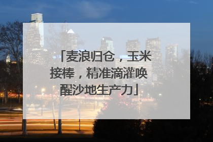 麦浪归仓，玉米接棒，精准滴灌唤醒沙地生产力