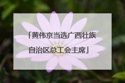 黄伟京当选广西壮族自治区总工会主席