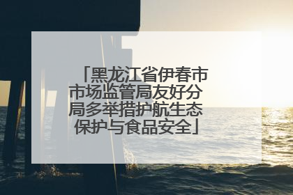 黑龙江省伊春市市场监管局友好分局多举措护航生态保护与食品安全