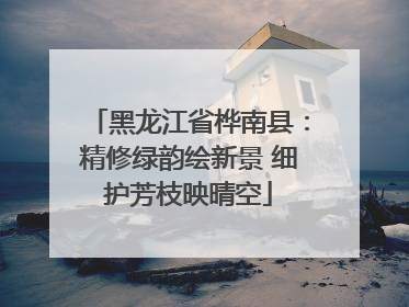黑龙江省桦南县：精修绿韵绘新景 细护芳枝映晴空