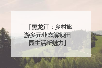 黑龙江：乡村旅游多元业态解锁田园生活新魅力