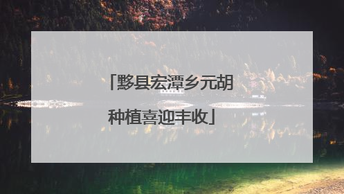 黟县宏潭乡元胡种植喜迎丰收