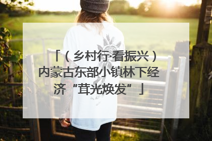 （乡村行·看振兴）内蒙古东部小镇林下经济“茸光焕发”