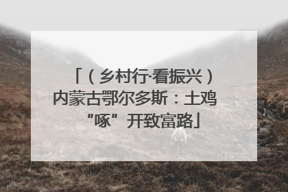 （乡村行·看振兴）内蒙古鄂尔多斯：土鸡“啄”开致富路