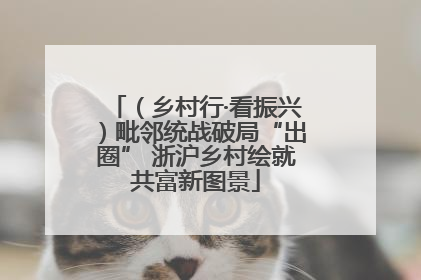 （乡村行·看振兴）毗邻统战破局“出圈” 浙沪乡村绘就共富新图景