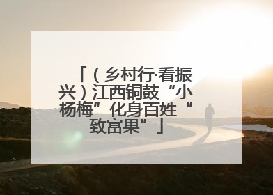 （乡村行·看振兴）江西铜鼓“小杨梅”化身百姓“致富果”