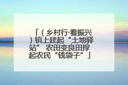 （乡村行·看振兴）镇上建起“土地驿站” 农田变良田撑起农民“钱袋子”