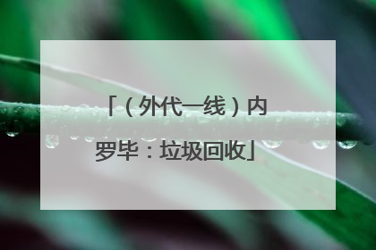 （外代一线）内罗毕：垃圾回收