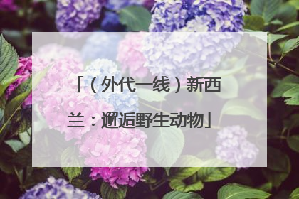 （外代一线）新西兰：邂逅野生动物